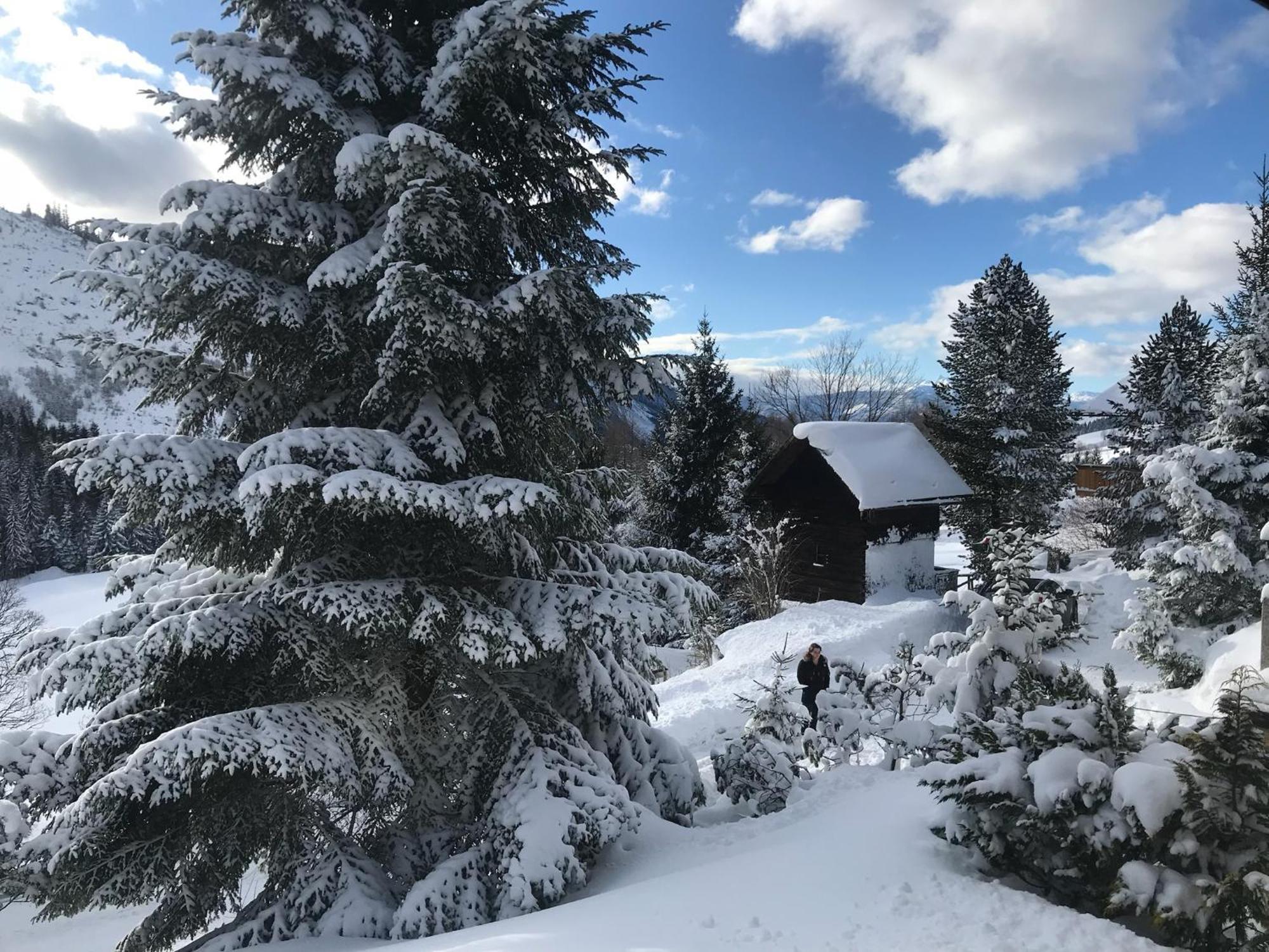 Haus Grimmingblick Villa Zlem Eksteriør bilde